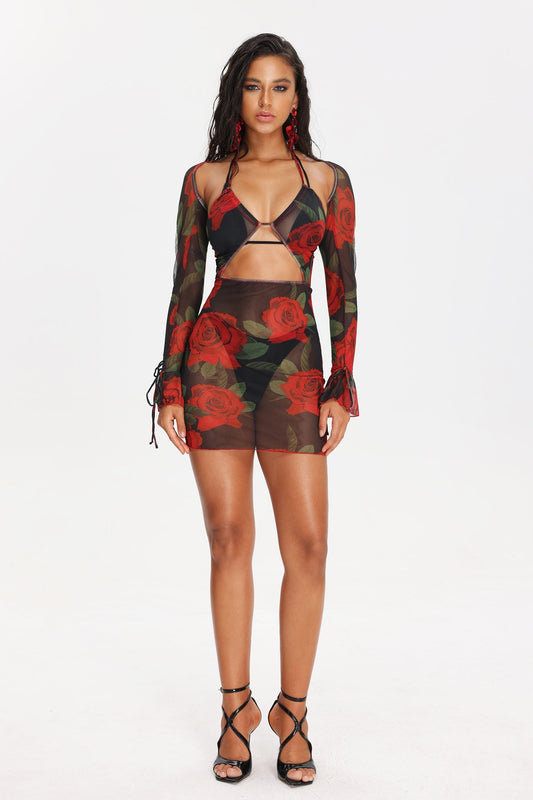 Summer Rose Beach Cover